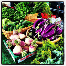 Eggplant, Squash & Mixed Herbs